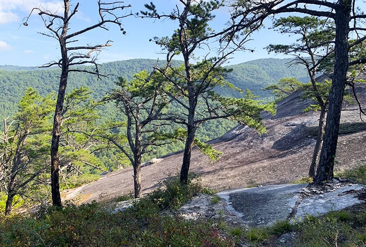 Things to do at Stone Mountain North Carolina