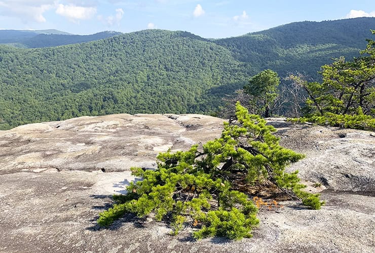 Things to do at Stone Mountain North Carolina