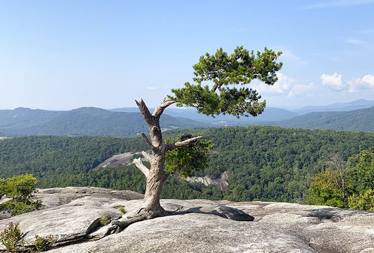 Things to do at Stone Mountain North Carolina