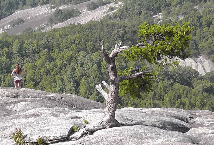 03d_04_summit_side_hike_stone_mountain_north_carolina