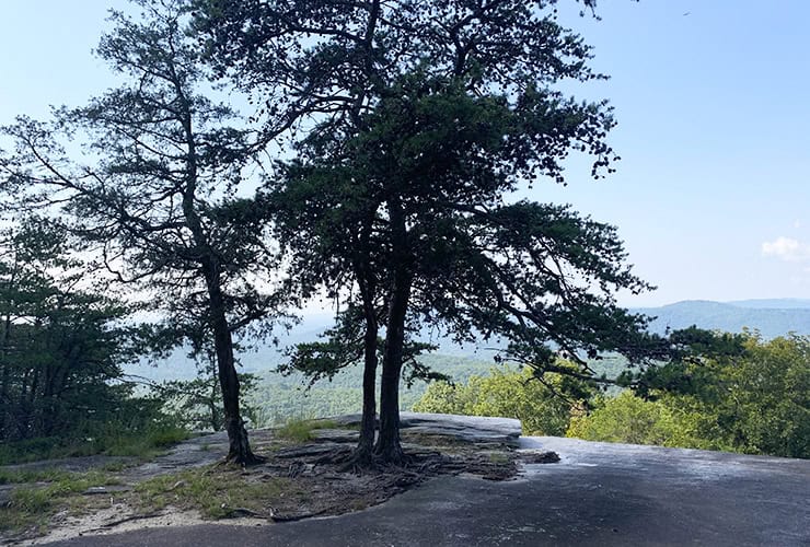 03e_02_summit_side_hike_stone_mountain_nc