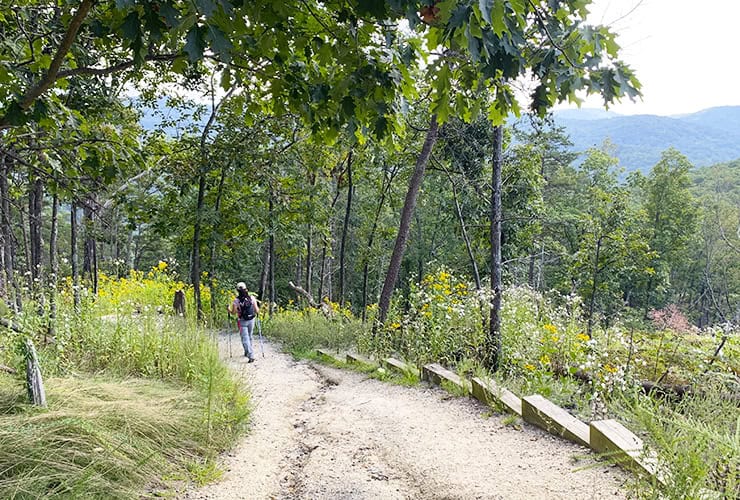 03e_04_summit_side_hike_stone_mountain_nc