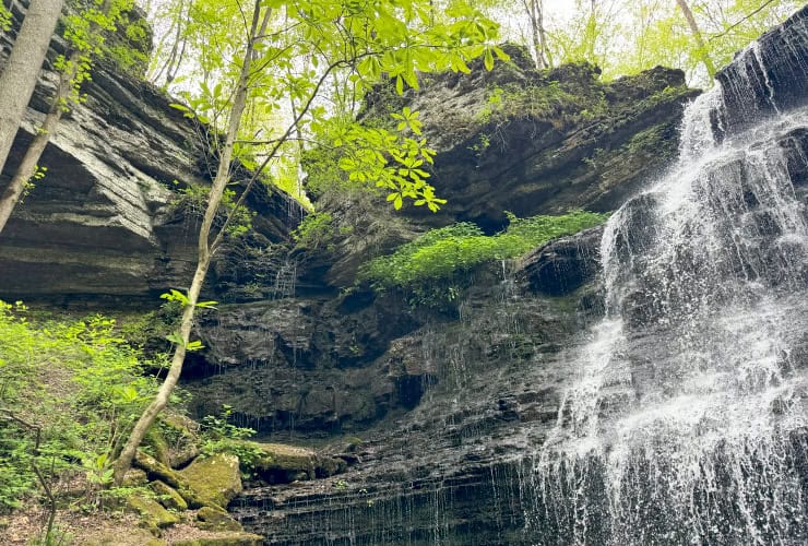 Cliff face at Machine Falls