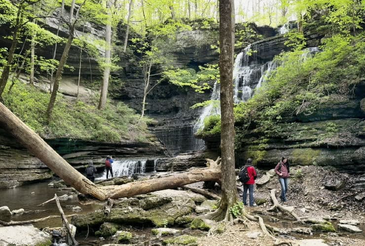 Waterfall Chasing in the Short Springs State Natural Area