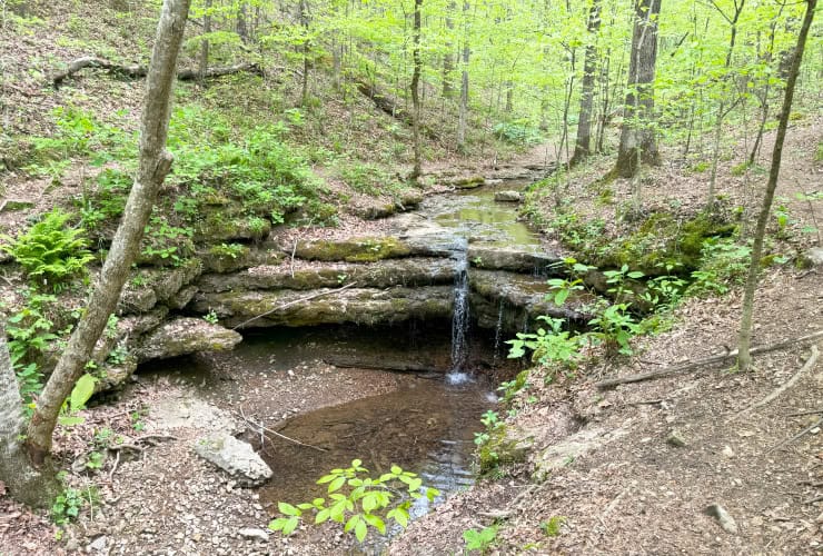 Waterfall Chasing in the Short Springs State Natural Area