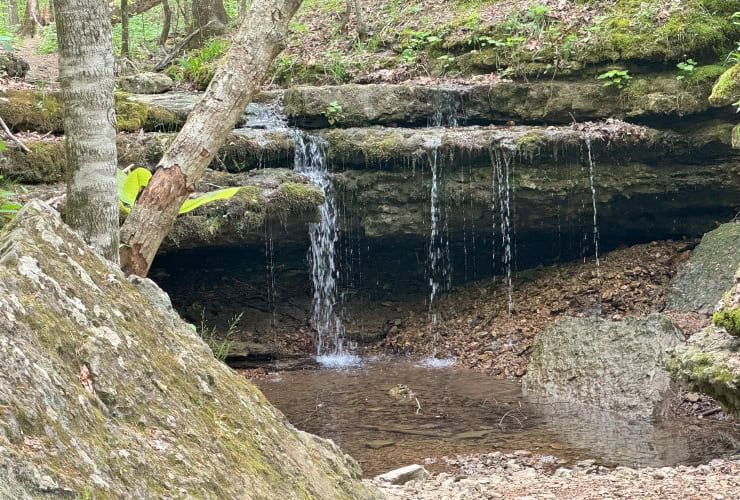 Adams Falls Tennessee