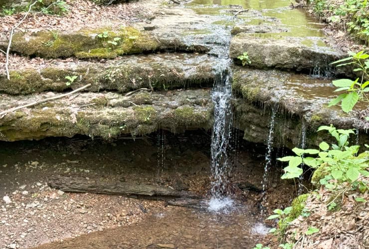 Adams Falls Waterfall Chasing in the Short Springs State Natural Area