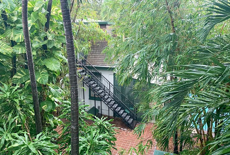 Things to do in Key West The Hemingway House Studio