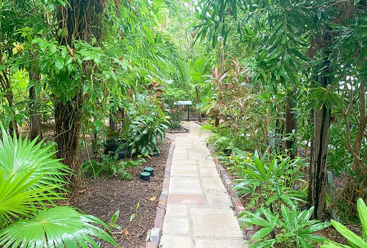 Things to do in Key West The Hemingway House Gardens