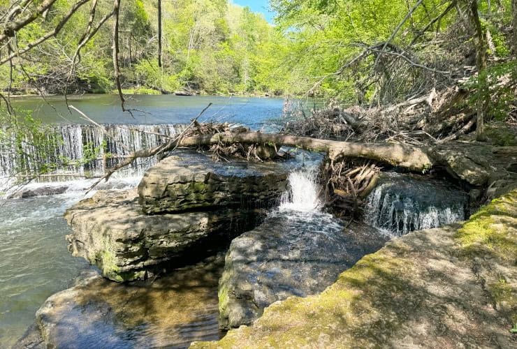 Little Falls at the Old Stone Fort State Park Tennessee