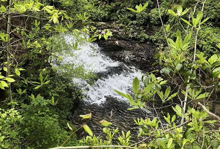 Cascade Waterfall Chasing in the Short Springs State Natural Area