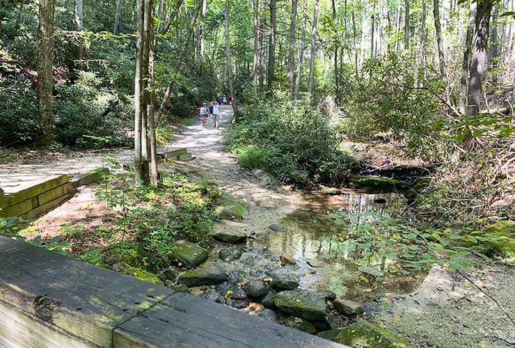 07a_01_view_side_hike_stone_mountain_nc