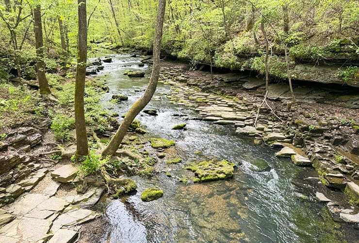 Waterfall Chasing in the Short Springs State Natural Area Bobo Creek