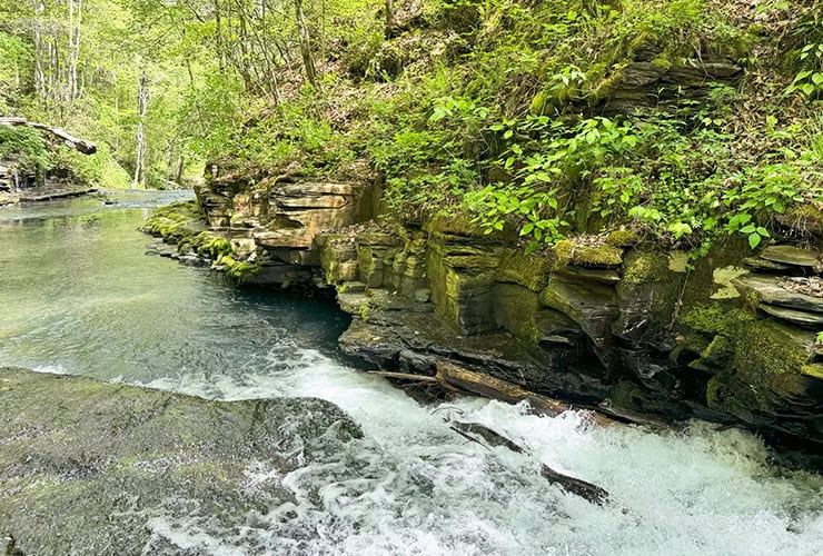 Bobo Creek Waterfall Chasing in the Short Springs State Natural Area