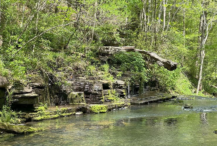 Bobo Creek Tennessee