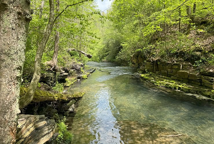 08_05_bobo_creek_tennessee