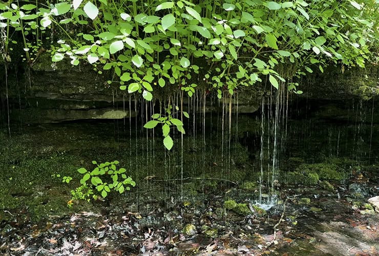 Waterfall Chasing in the Short Springs State Natural Area