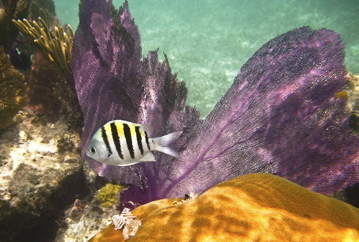 13_05_key_west_dry_tortugas