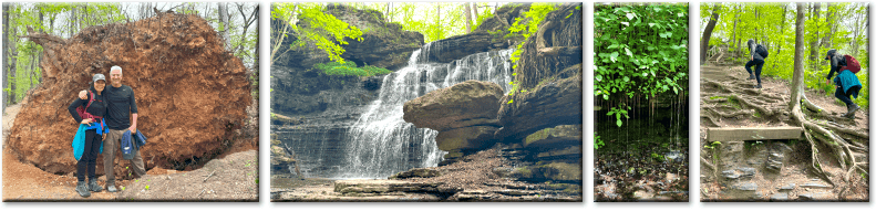 Waterfall Chasing in the Short Springs State Natural Area