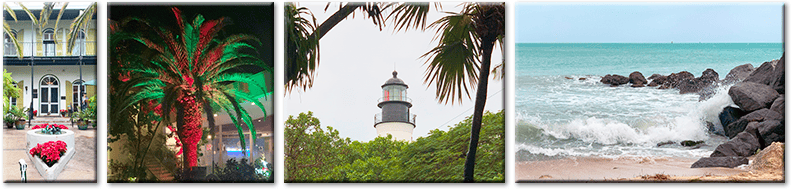 Things to do in Key West Feature