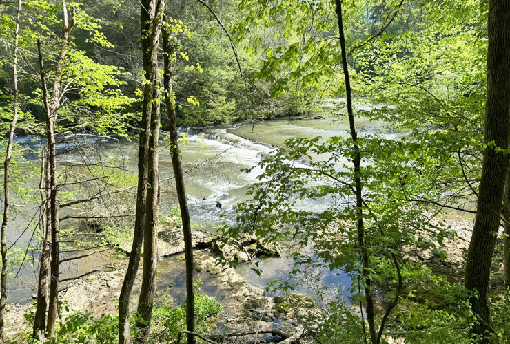 Chasing Tennessee Waterfalls