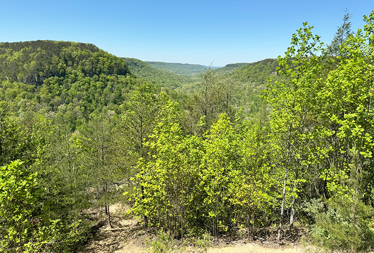 07-03_Fall Creek Falls State Park