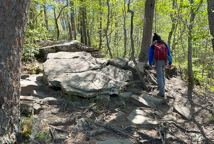 07-04_Fall Creek Falls State Park