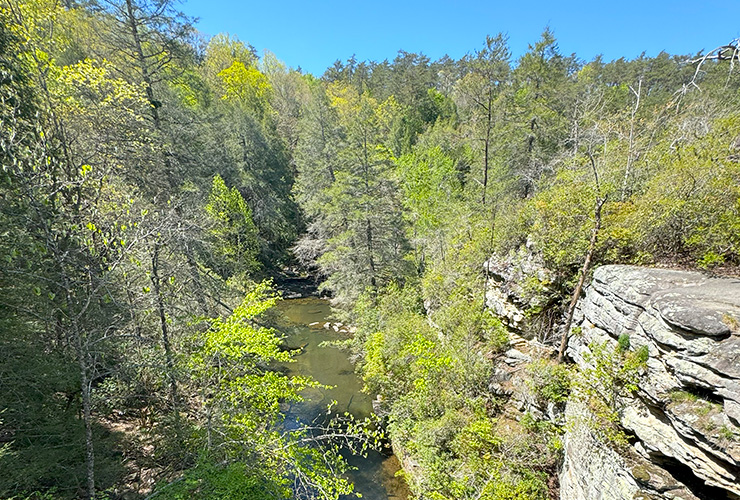 07-05_Fall Creek Falls State Park