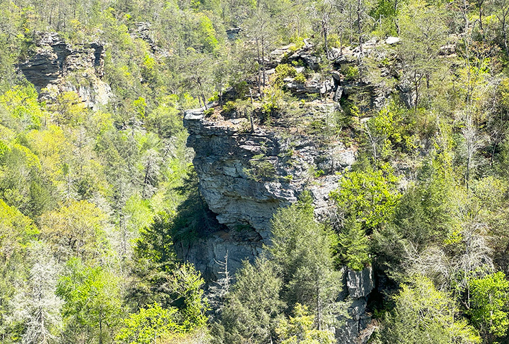 08-05_Fall Creek Falls