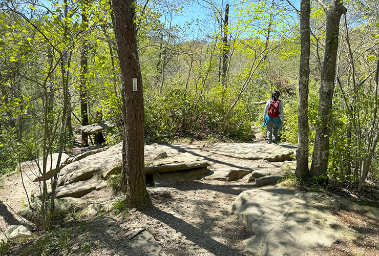 10-01_Suspension Bridge_Fall Creek Falls State Park