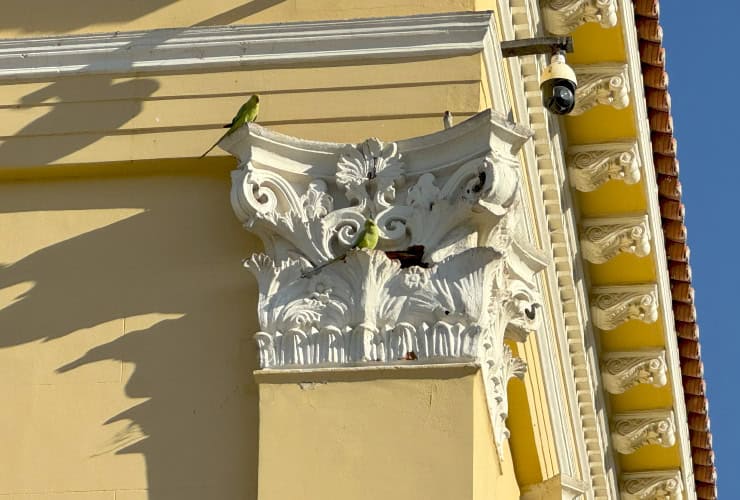 Zappeion Hall column detail