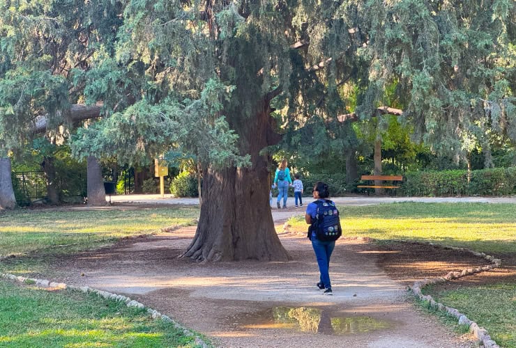 Enjoy a Perfect Day in Athens