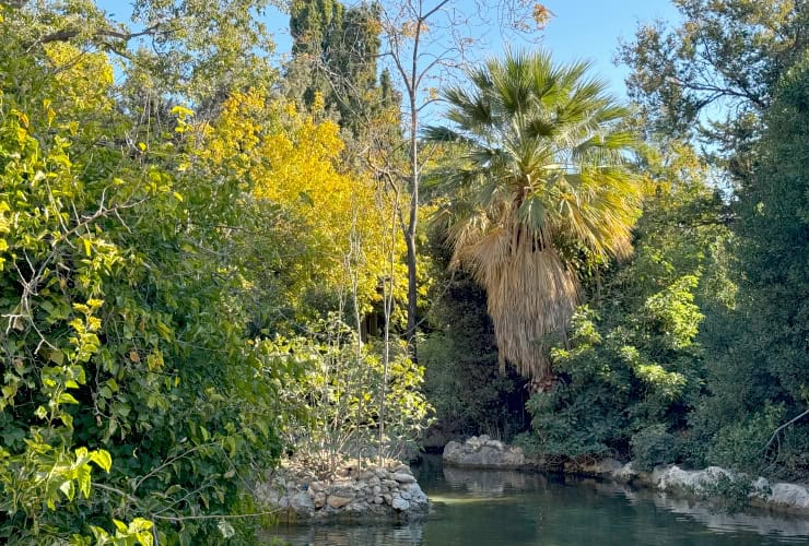 Central Lake in the Athens National Garden