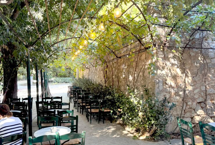 Kafeneio Café Athens Greece