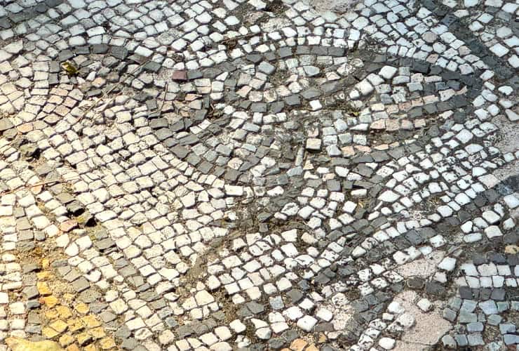 Roman Mosaic bird