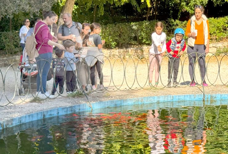 Family enjoying a Koi Pond in the Athens National Garden