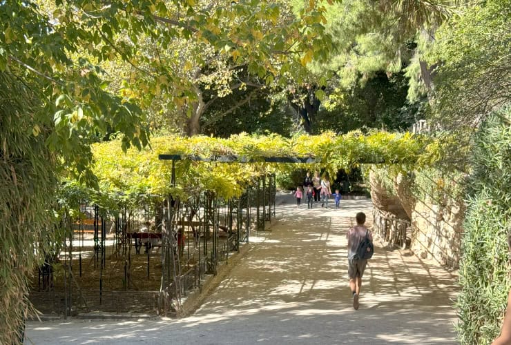 Queen Amalia's Pergola in the Athens National Garden