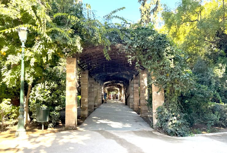 Pergola of Rosa Banksiae at the Athens National Garden