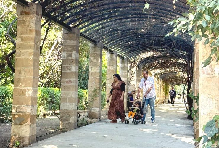 Pergola of Rosa Banksiae in Athens